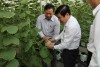 Tư vấn thiết kế vườn , quy trình chăm sóc cây kiểng - Trung Tâm Công Nghệ Sinh Học Thành Phố Hồ Chí Minh